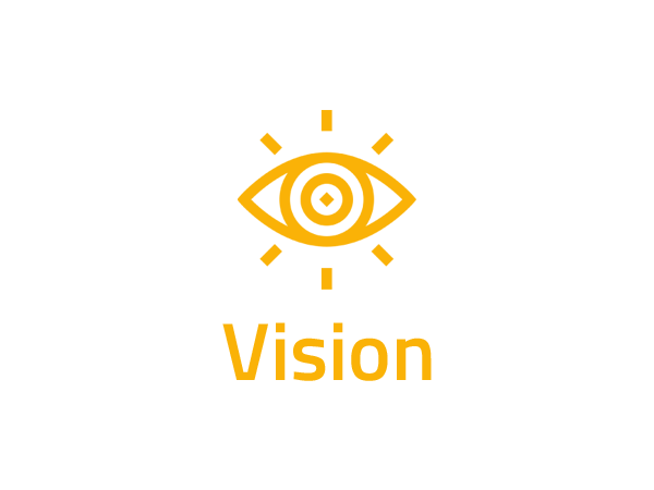 Vision
